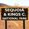 Sequoia and Kings Canyon NP!