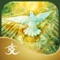 In this new oracle deck designed to bring peace and healing, 45 images and affirmations reflect the loving wisdom of Gaia