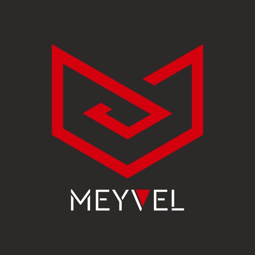 MEYVEL CAR FRIDGE