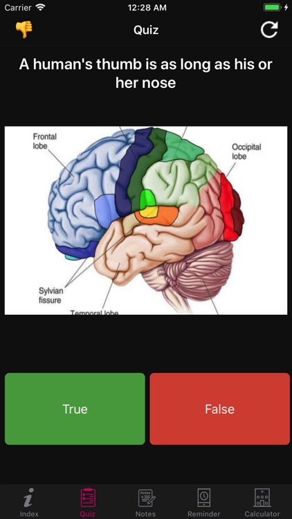 Human Brain Facts & Quiz 2000 screenshot-7