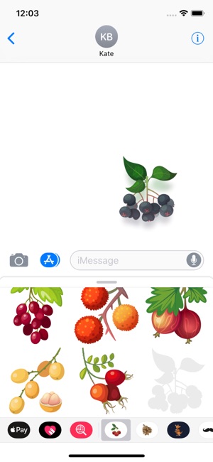 Berries Stickers(圖4)-速報App