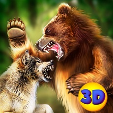 Activities of Bear Kung Fu Animal Fighting