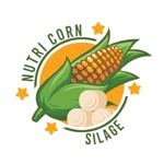 Nutri Corn Silage