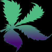 Kushy - Cannabis, CBD Delivery