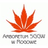 Arboretum w Rogowie