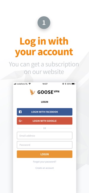 GOOSE VPN(圖2)-速報App