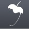THIS IS NOT THE FL STUDIO MOBILE YOU ARE LOOKING FOR