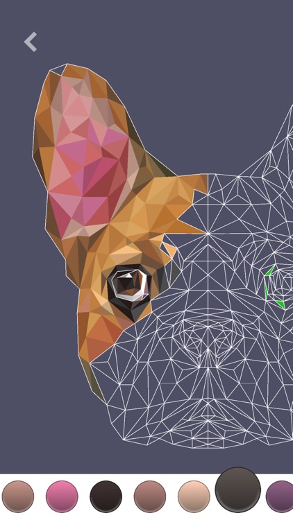 PolyGO - LowPoly Coloring Book screenshot-3