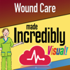 Wound Care MI Visual - Skyscape Medpresso Inc