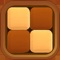 Challenge the  wood  block puzzle