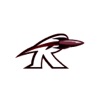 Rockridge CUSD 300