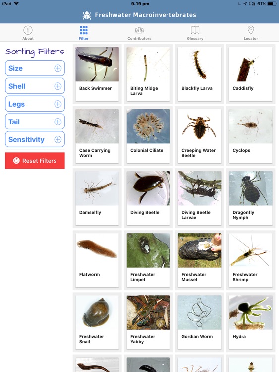 Freshwater Macro Invertebrates screenshot-6