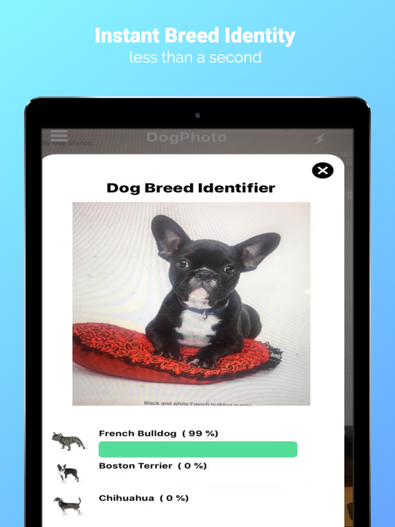 DogPhoto - Dog Breed Scanner screenshot 2