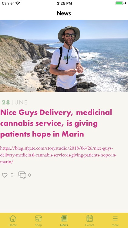 Nice Guys Delivery