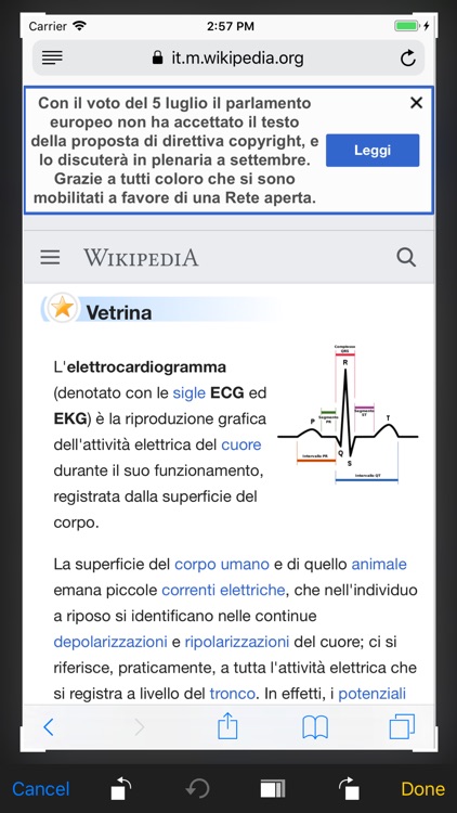 English-Italian Translator screenshot-6