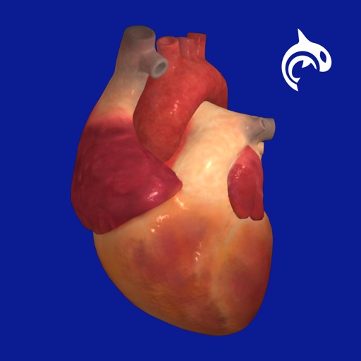 Heart Decide icon