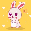 Animated Bunny Lovers