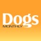 If you’re looking for the best dog magazine on the market, we think you’ve found it