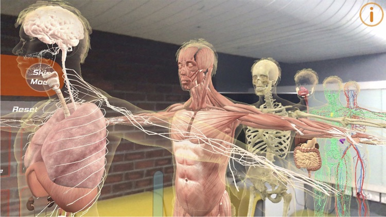 Human Anatomy 4D-Mixed Reality