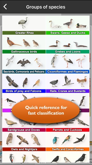 Birds of Europe Guide(圖4)-速報App