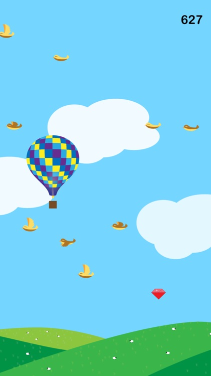 Balloon Ride With Birds