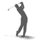 My Golf Mentors allows you to record videos of your swing and receive an annotated video reply from a PGA golfer