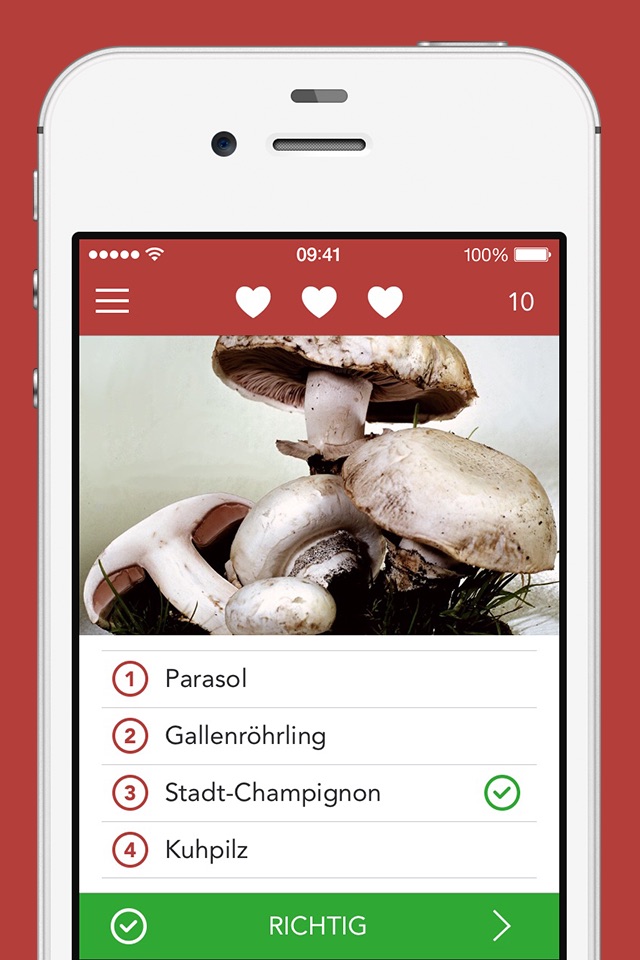 Pilze sammeln und bestimmen screenshot 4