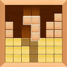 Activities of Wood Brick Puzzle