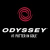 Odyssey Fits