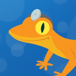 Gecko