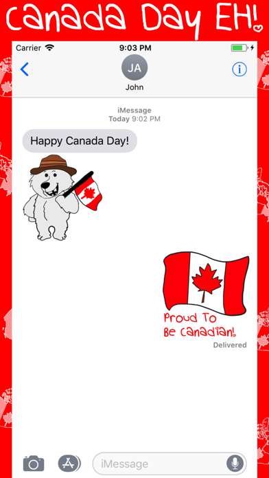 Canada Day EH! screenshot 4