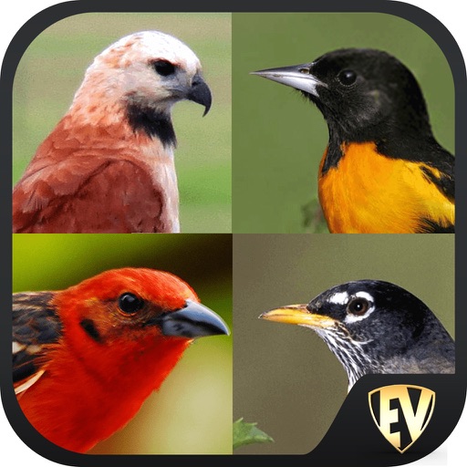 Non-Passerine Bird Dictionary icon