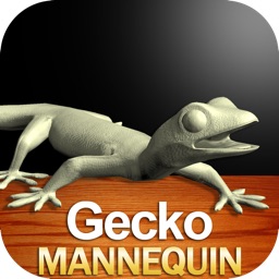 Gecko Mannequin