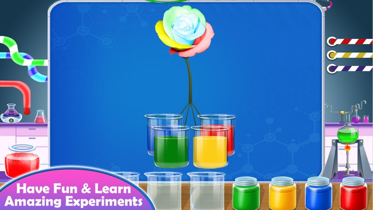 Science Experiments Fun