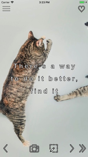 Motivation Cats(圖5)-速報App