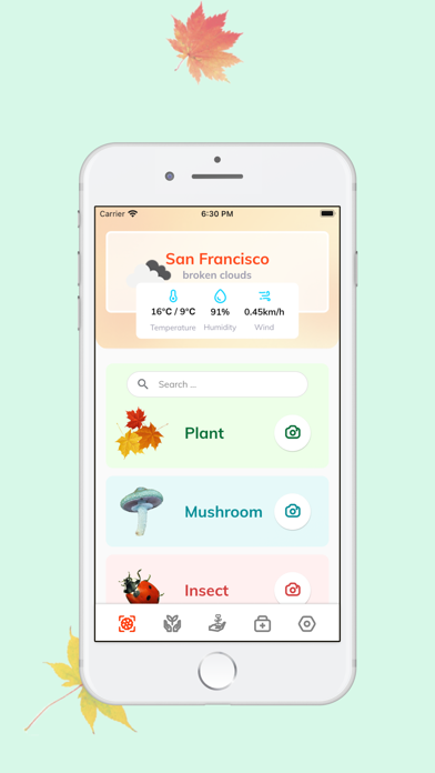 Plant Identifier - FindPlantCapture d'écran de 1