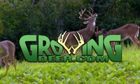 GrowingDeer