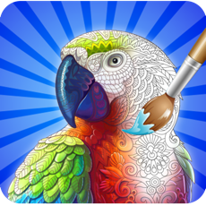 Activities of Coloring Cute Birds - Paint