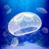 Icon Jellyfish Aquarium - Pet Game
