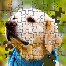 Activities of Jigsaw Puzzle Master