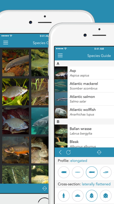 How to cancel & delete Fishes PRO - Field Guide from iphone & ipad 2