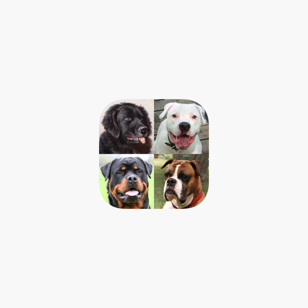 犬 写真付きクイズ 犬の品種一覧 をapp Storeで