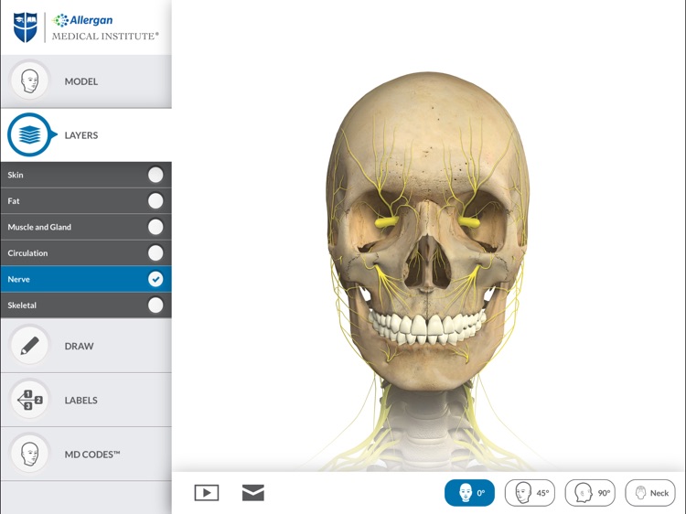 Interactive Anatomy - TW screenshot-4