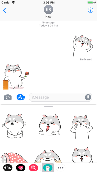Funny Pug Animated Stickers screenshot 3
