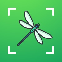 Bug identifier app not working? crashes or has problems?