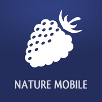 Früchte und Beeren PRO pour PC