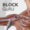GuRU is an offline* teaching App covering single shot and continuous peripheral nerve blocks