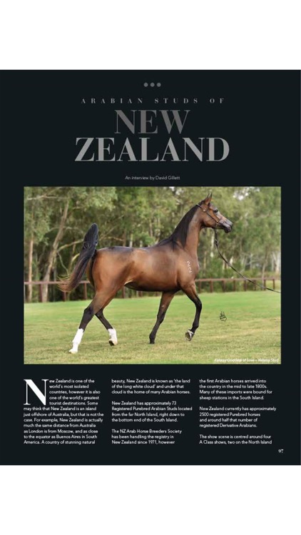 Arabian Studs and Stallions screenshot-4