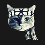 Karate Cats Gifs