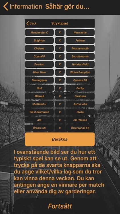 Tipsprognosen screenshot-4